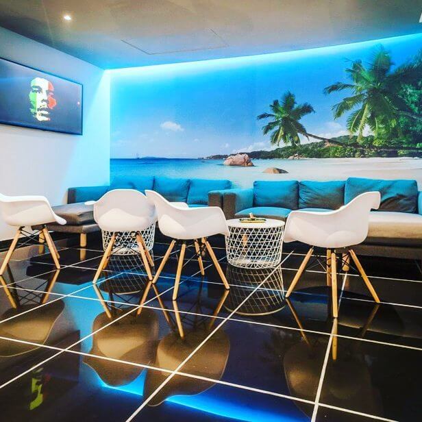 Zanzi Cannabis Club — official brand image